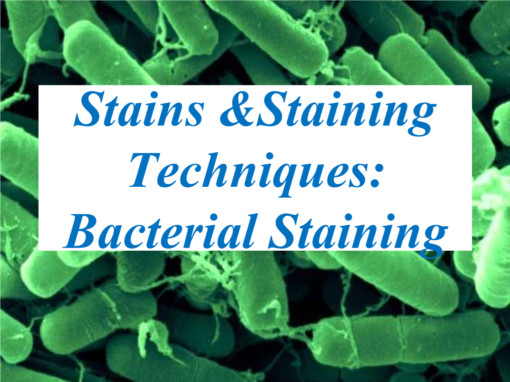 Bacterial Staining MCBG P1 T