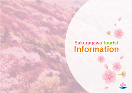 Sakuragawa Tourist Information Early to Late April Is the Season of Yamazakura, Wild Cherry Blossoms