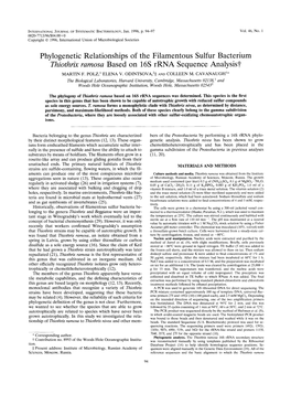 Phylogenetic Relationships of the Filamentous Sulfur Bacterium Thiothrix Ramosa Based on 16S Rrna Sequence Analysis?