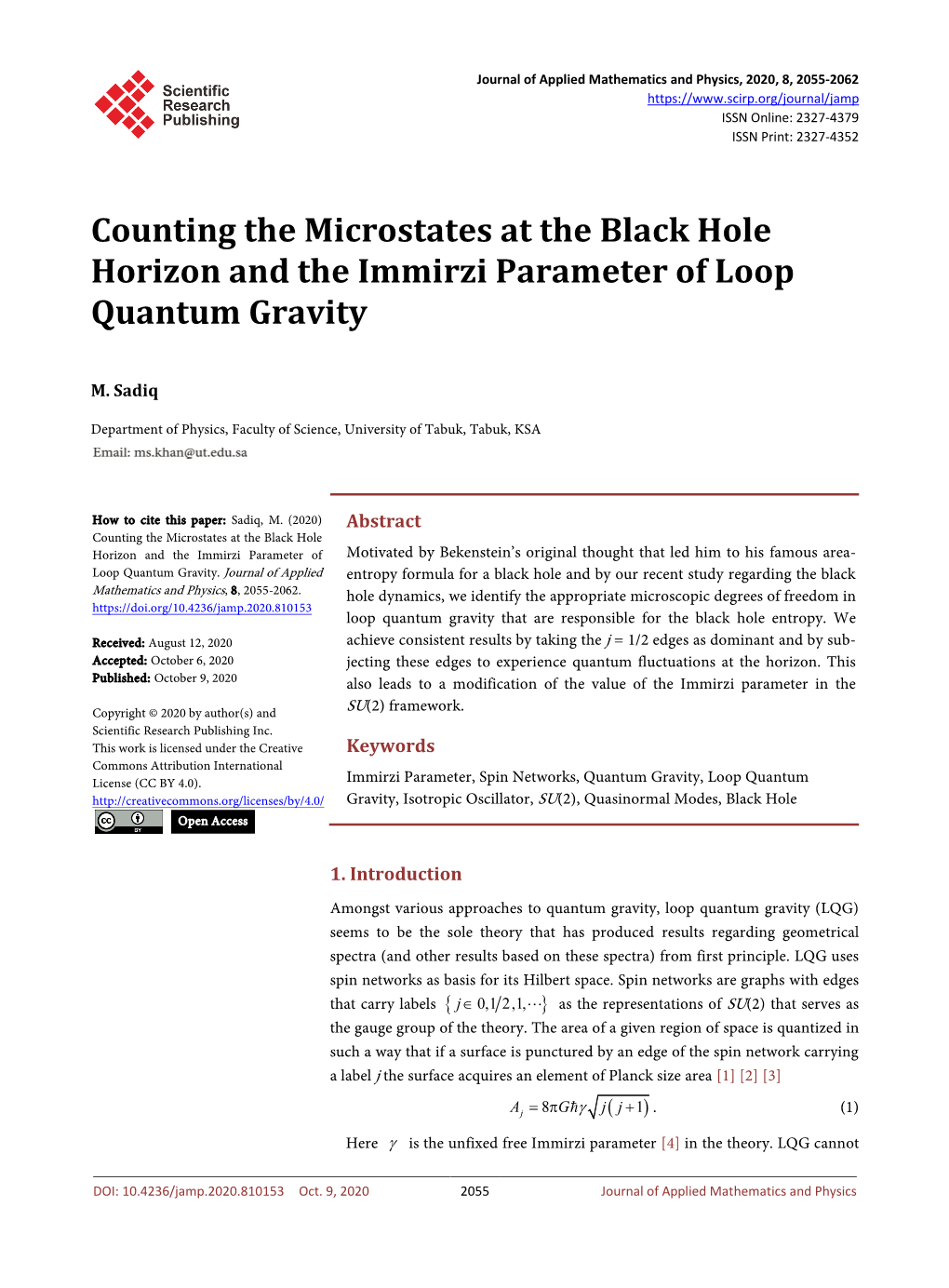 Counting the Microstates at the Black Hole Horizon and the Immirzi Parameter of Loop Quantum Gravity