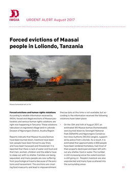 Forced Evictions of Maasai People in Loliondo, Tanzania