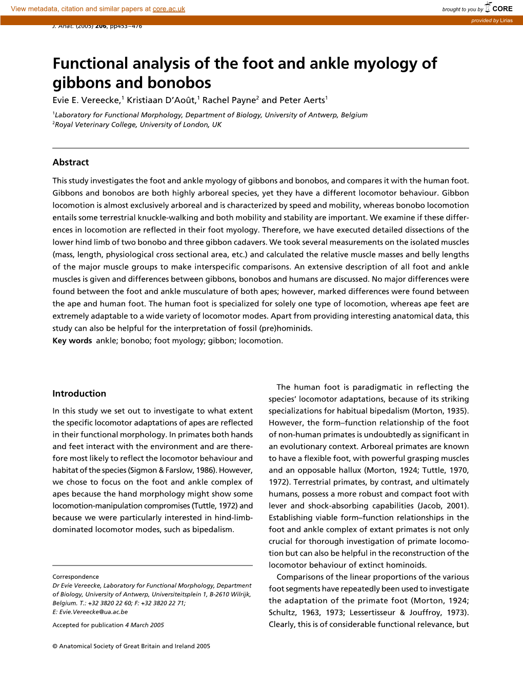 Functional Analysis of the Foot and Ankle Myology of Gibbons and Bonobos