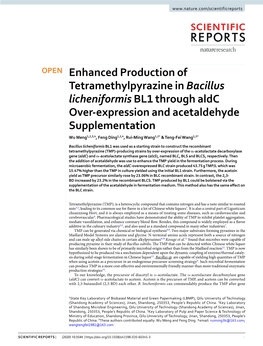 Enhanced Production of Tetramethylpyrazine in Bacillus