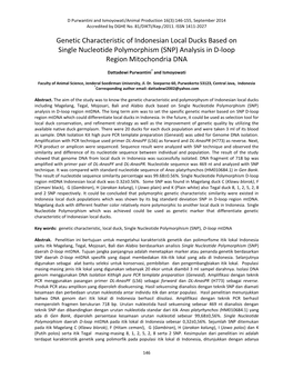 SNP) Analysis in D-Loop Region Mitochondria DNA