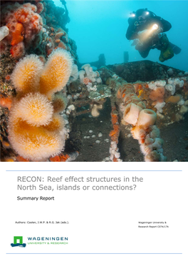 RECON: Reef Effect Structures in the North Sea, Islands Or Connections?
