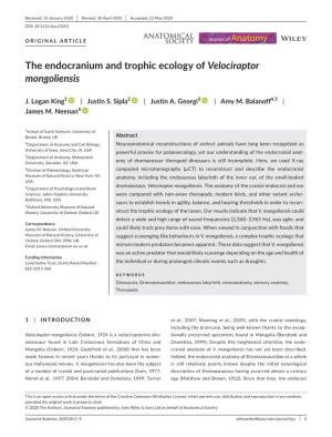 The Endocranium and Trophic Ecology of Velociraptor Mongoliensis
