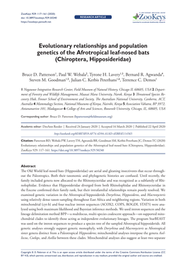 Evolutionary Relationships and Population Genetics of the Afrotropical Leaf-Nosed Bats (Chiroptera, Hipposideridae)