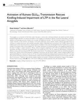 Activation of Kainate GLUK5 Transmission Rescues Kindling-Induced Impairment of LTP in the Rat Lateral Amygdala
