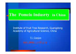 The Production and Area of Pomelo in China (1990-2007)