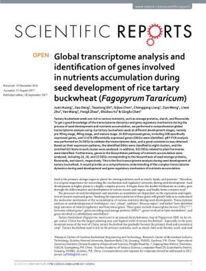 Global Transcriptome Analysis and Identification of Genes Involved In
