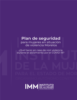 Plan De Seguridad Para Mujeres En Situación De Violencia Morelos