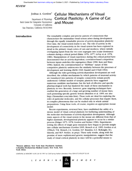 Cellular Mechanisms of Visual Cortical Plasticity: a Game of Cat and Mouse