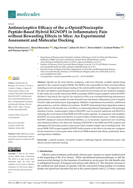 Opioid/Nociceptin Peptide-Based Hybrid KGNOP1 in Inﬂammatory Pain Without Rewarding Effects in Mice: an Experimental Assessment and Molecular Docking