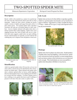 Two-Spotted Spider Mite Plant Pest Fact Sheet