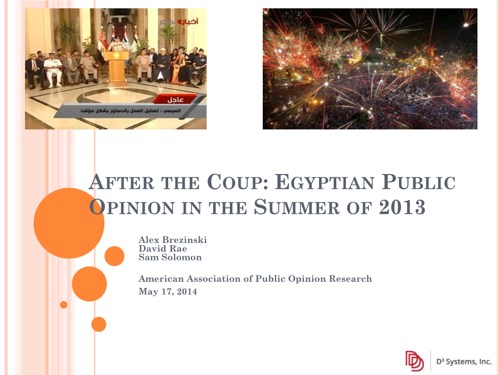 After the Coup: Egyptian Public Opinion in the Summer of 2013
