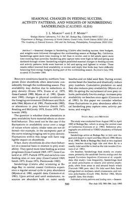 Seasonal Changes in Feeding Success, Activity Patterns, and Weights of Nonbreeding Sanderlings (Calidris Alba)