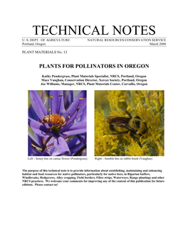 Plants for Pollinators in Oregon