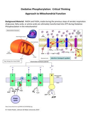 Oxidative Phosphorylation: Critical Thinking Approach to Mitochondrial Function