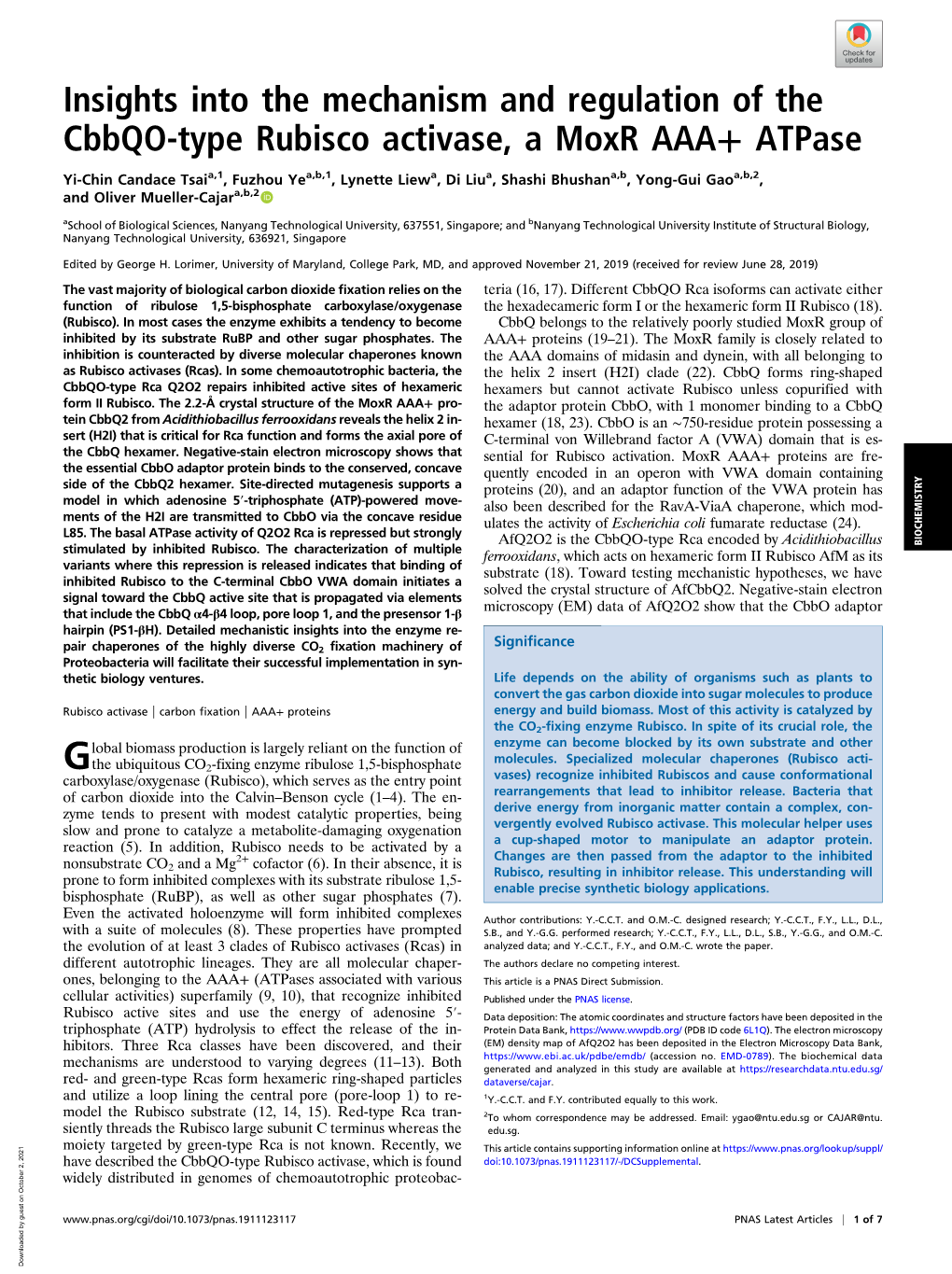 Insights Into the Mechanism and Regulation of the Cbbqo-Type Rubisco Activase, a Moxr AAA+ Atpase