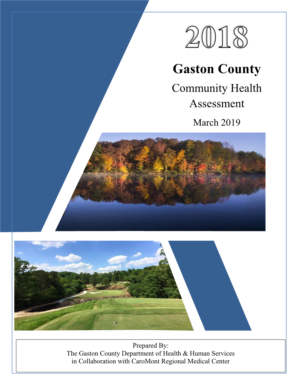 Gaston County Community Health Assessment March 2019