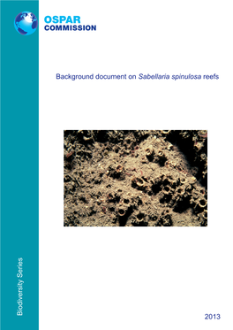 Background Document on Sabellaria Spinulosa Reefs 2013
