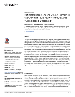 Retinal Development and Ommin Pigment in the Cranchiid Squid Teuthowenia Pellucida (Cephalopoda: Oegopsida)