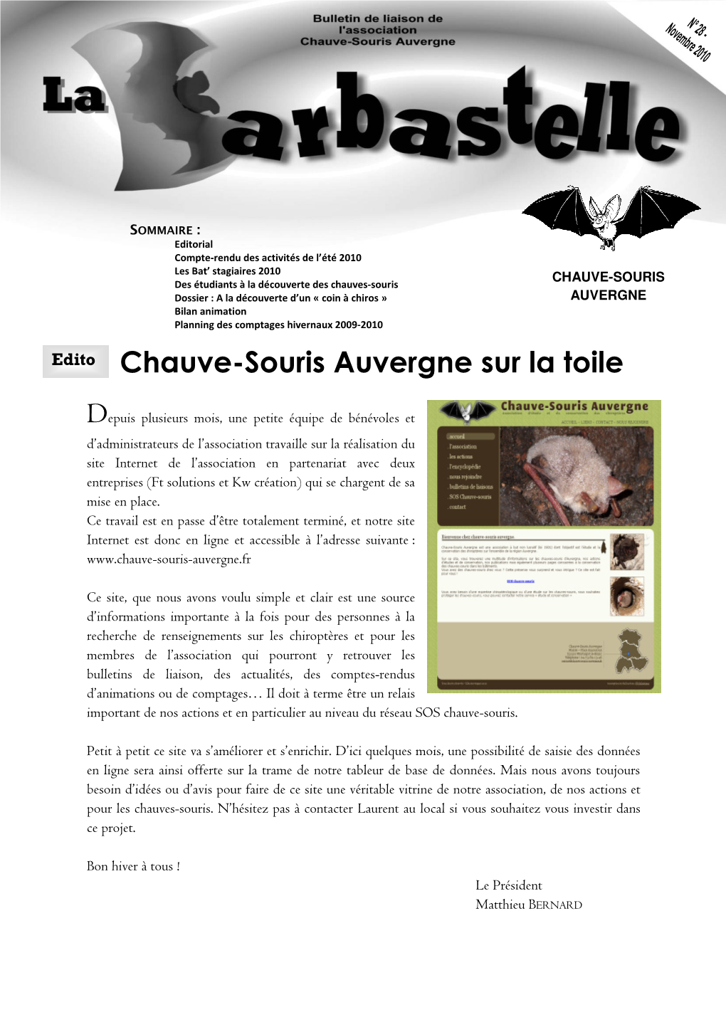 Chauve-Souris Auvergne Sur La Toile