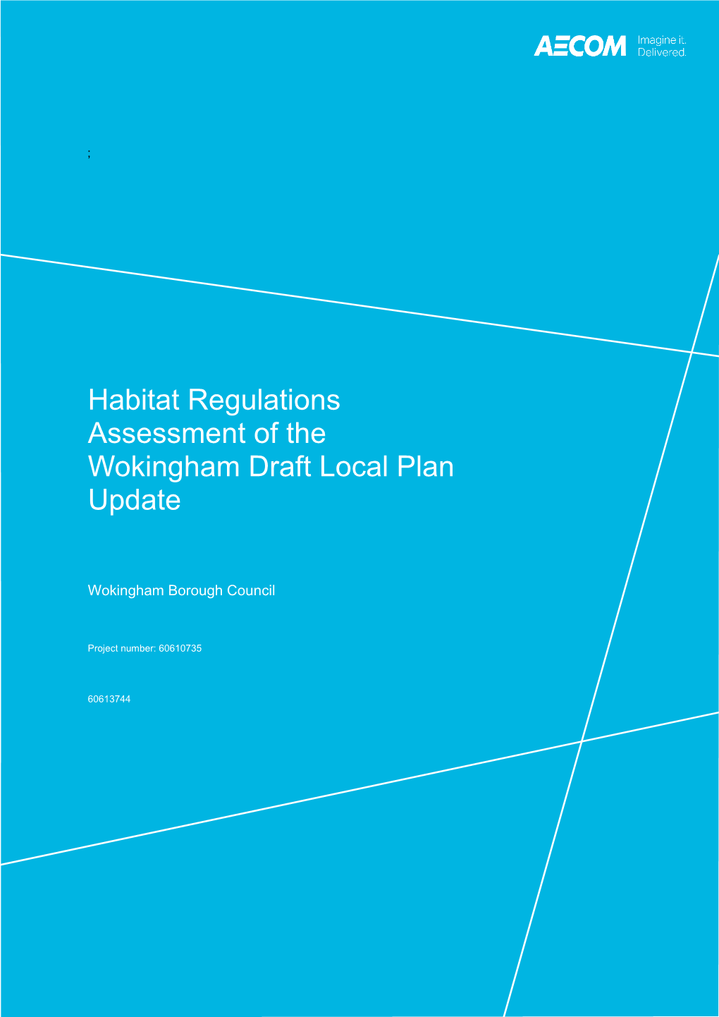 Habitat Regulations Assessment of the Wokingham Local Plan Update
