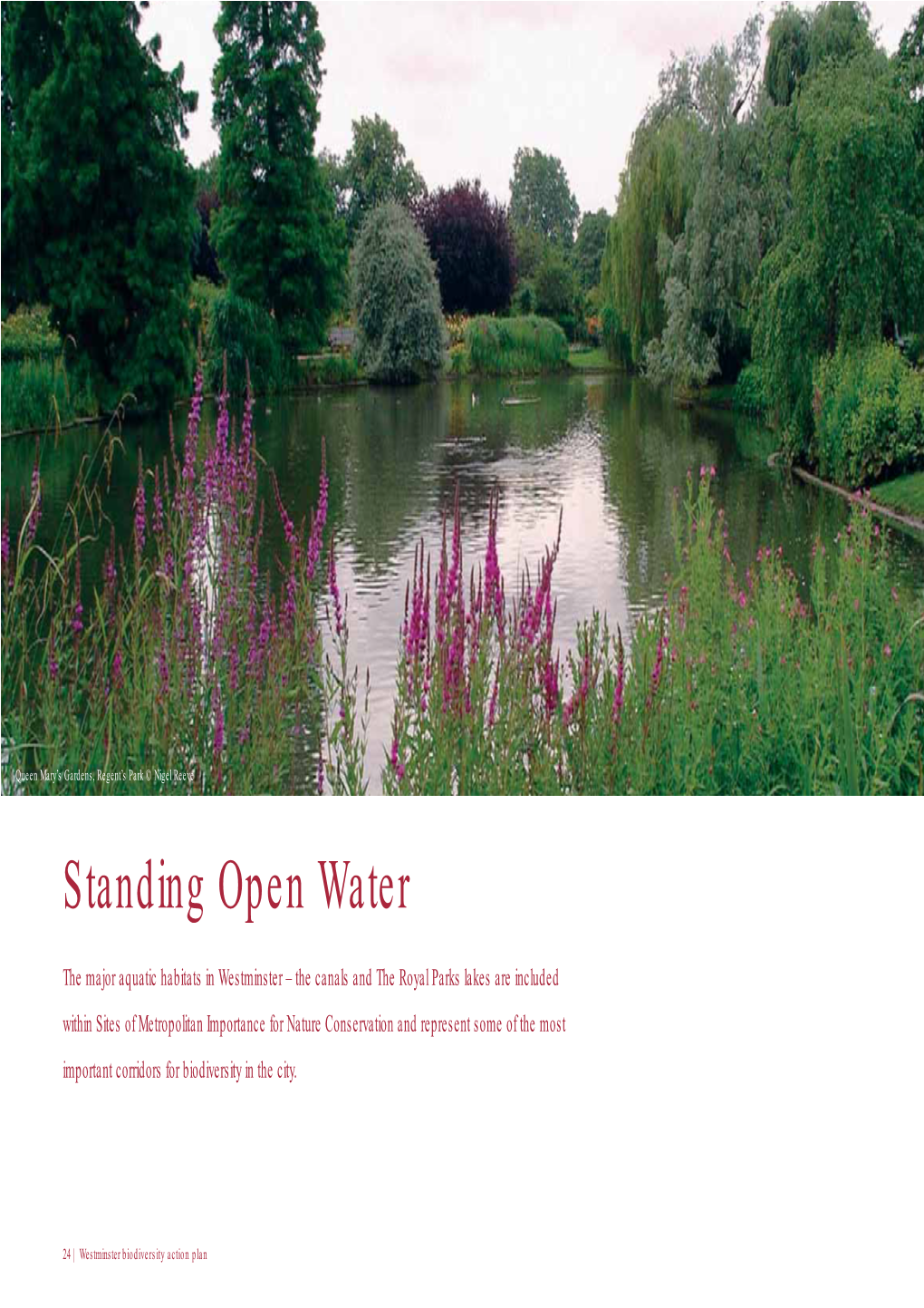 Standing Open Water