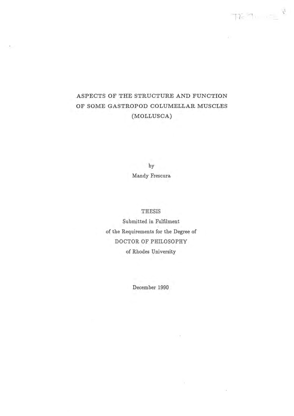 Aspects of the Structure and Function of Some Gastropod Columellar Muscles (Mollusca)