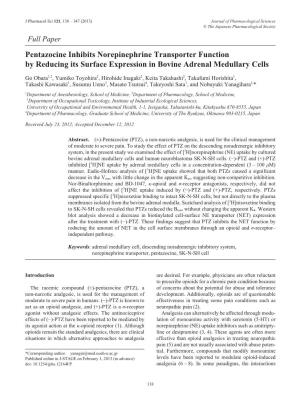 Pentazocine Inhibits Norepinephrine Transporter Function by Reducing Its Surface Expression in Bovine Adrenal Medullary Cells