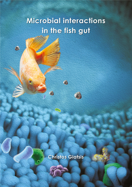 Microbial Interactions in the Fish Gut