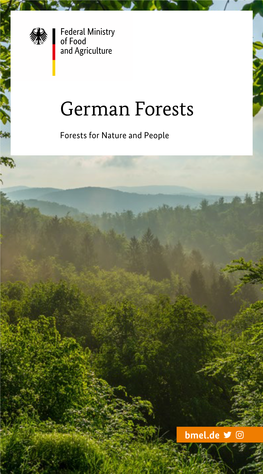 German Forests