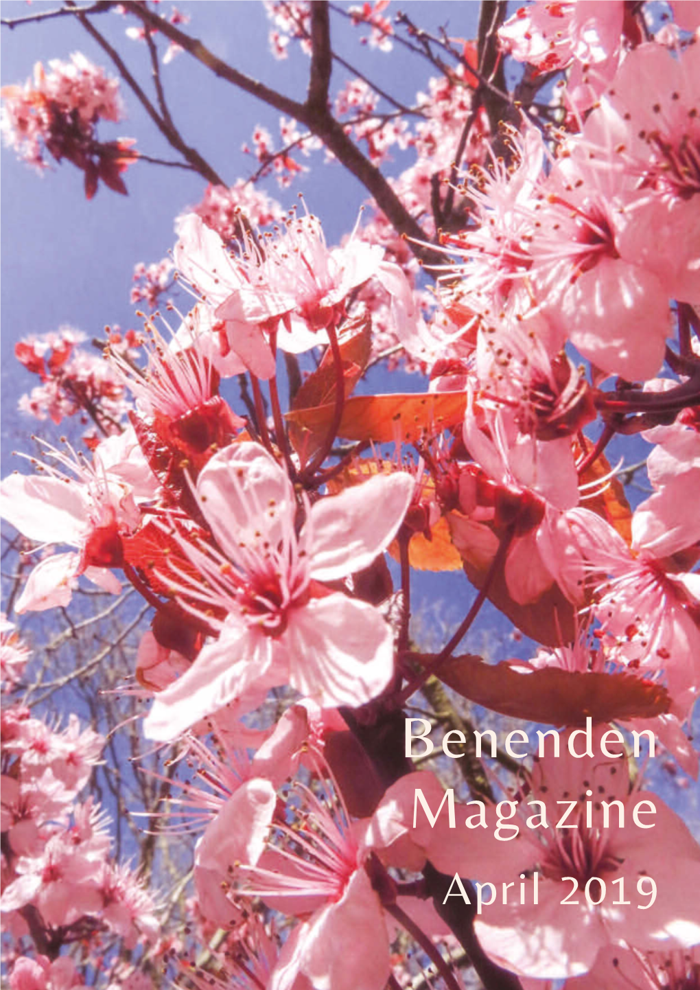 Benenden Magazine April 2019