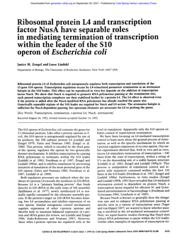 Ribosomal Protein L4 and Transcription Factor Nusa Have