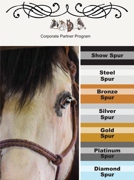 Show Spur Steel Gold Silver Bronze Platinum Diamond Spur Spur