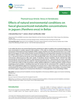 Effects of Natural Environmental Conditions on Faecal Glucocorticoid Metabolite Concentrations in Jaguars (Panthera Onca) in Belize