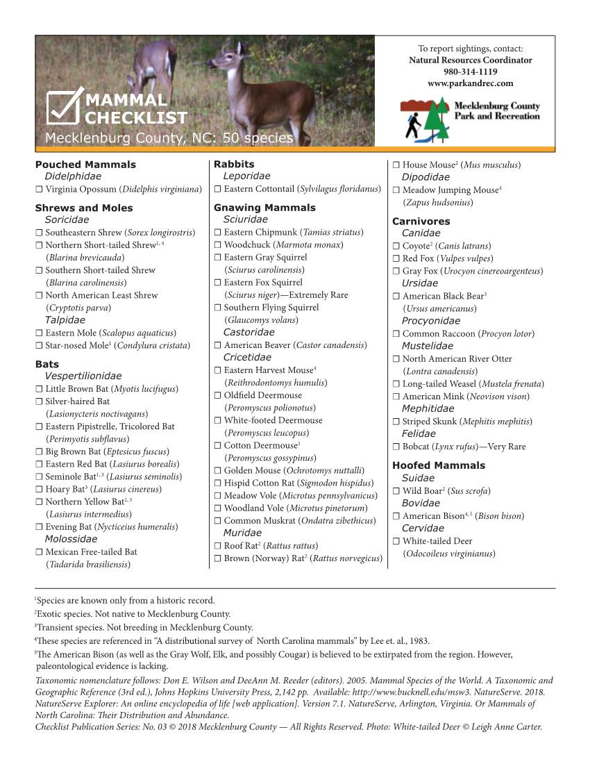 Checklist Mammal
