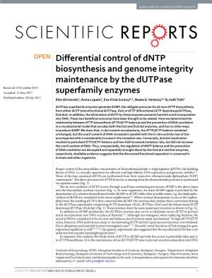 Differential Control of Dntp Biosynthesis and Genome Integrity
