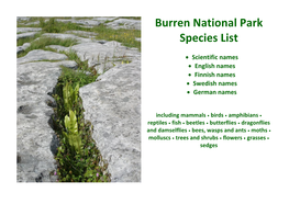 Burren National Park Species List