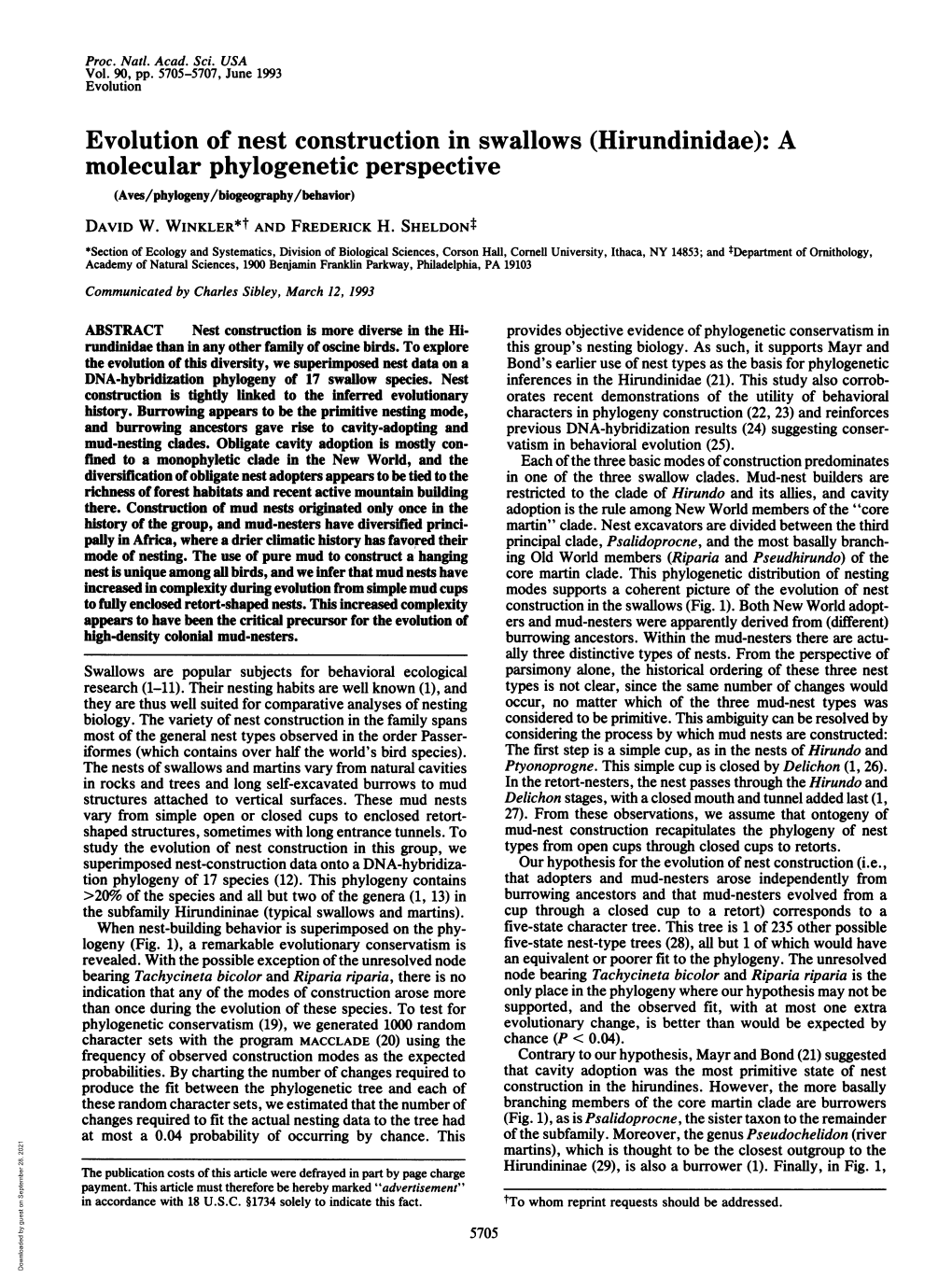 Evolution of Nest Construction in Swallows (Hirundinidae): a Molecular Phylogenetic Perspective (Aves/Phylogeny/Biogeography/Behavior) DAVID W