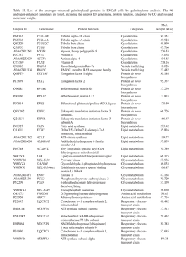 Table SI. List of the Androgen‑Enhanced Palmitoylated Proteins in Lncap Cells by Palmitoylome Analysis