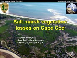 Salt Marsh Vegetation Losses on Cape Cod