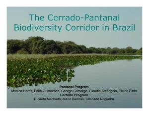 The Cerrado-Pantanal Biodiversity Corridor in Brazil