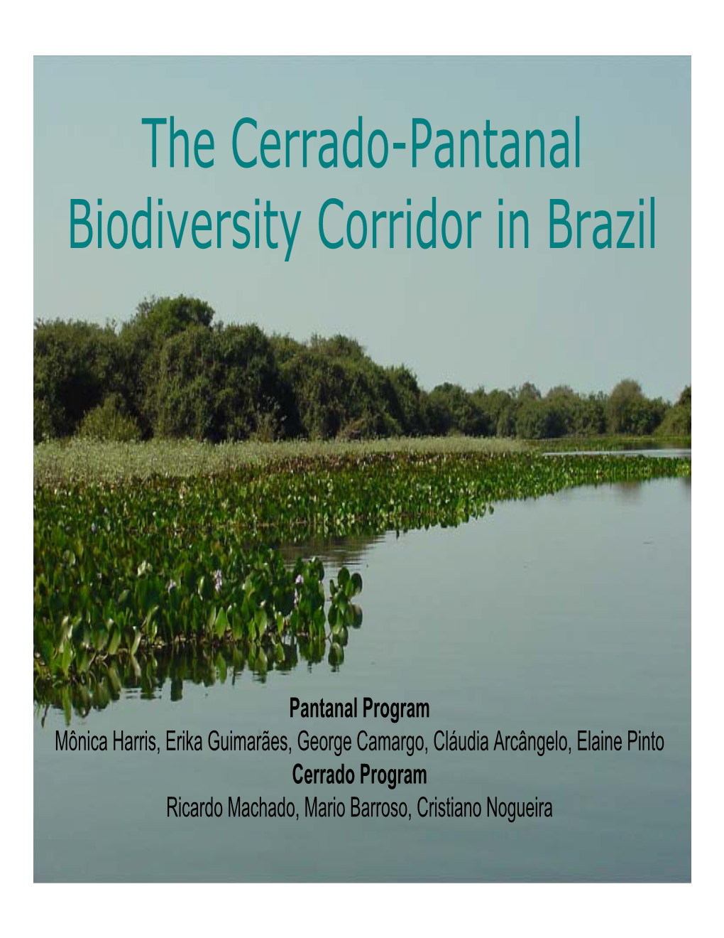 The Cerrado-Pantanal Biodiversity Corridor in Brazil - DocsLib