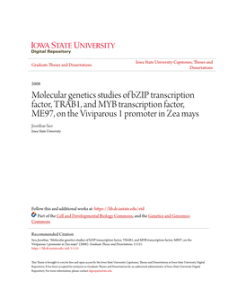 Molecular Genetics Studies of Bzip Transcription Factor, TRAB1, and MYB Transcription Factor, ME97, on the Viviparous 1 Promoter in Zea Mays" (2008)
