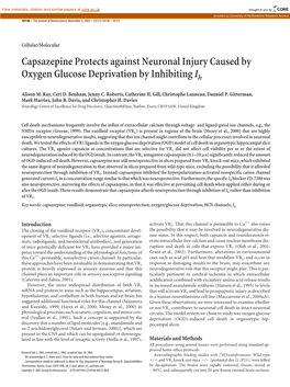 Capsazepine Protects Against Neuronal Injury Caused by Oxygen Glucose Deprivation by Inhibiting Ih