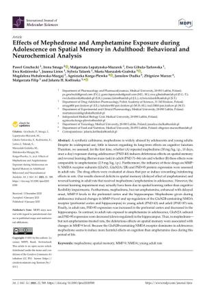 Effects of Mephedrone and Amphetamine Exposure During Adolescence on Spatial Memory in Adulthood: Behavioral and Neurochemical Analysis