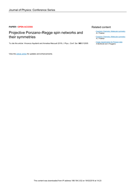 Projective Ponzano–Regge Spin Networks and Their Symmetries