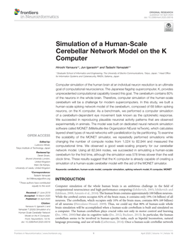 Simulation of a Human-Scale Cerebellar Network Model on the K Computer